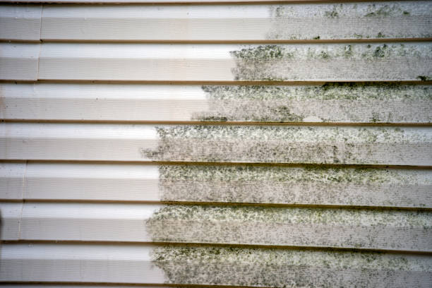 Affordable Siding Repair and Maintenance Services in Hot Springs, SD